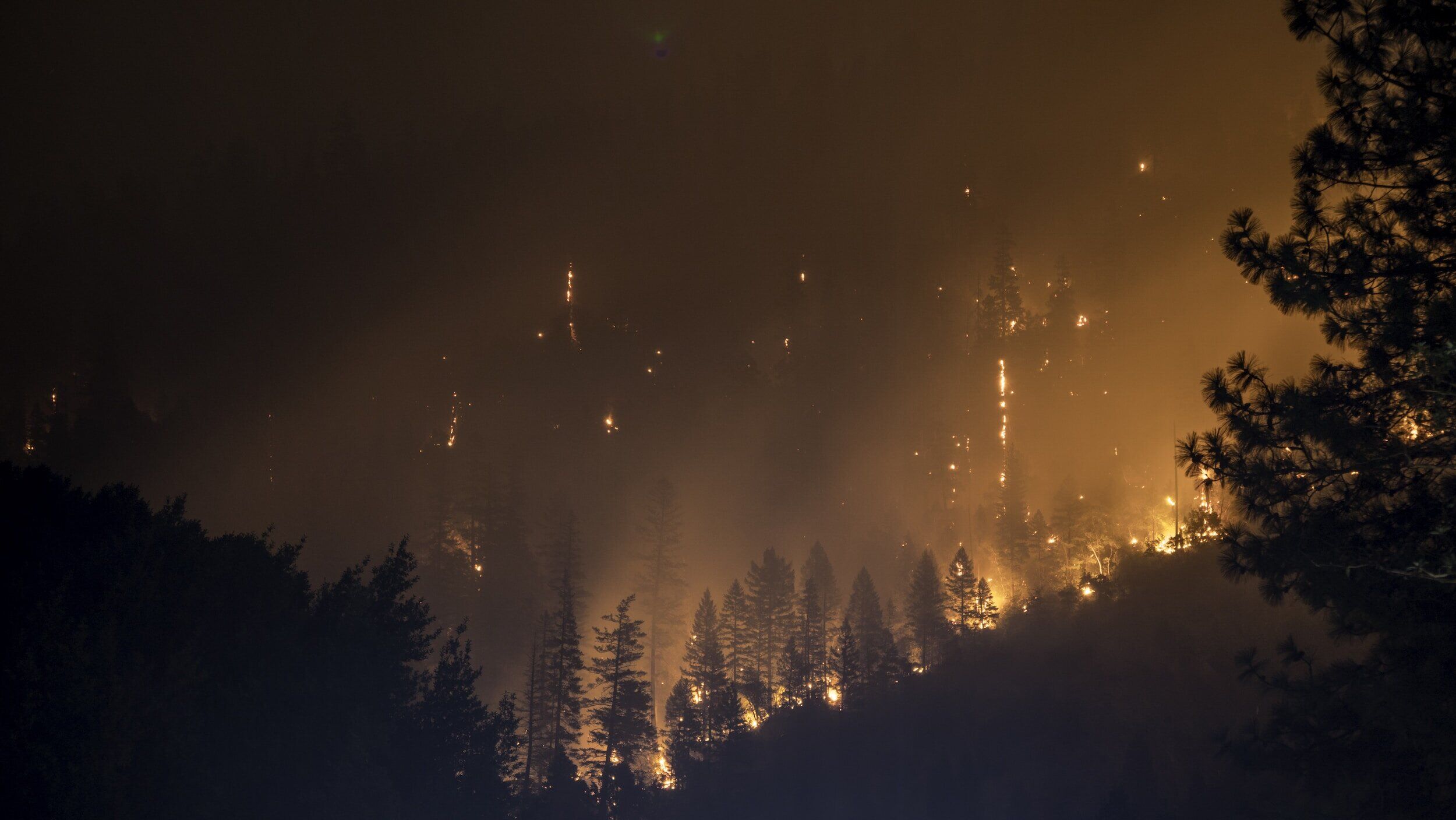 MySafeLA Meeting Recap – Fire Insurance